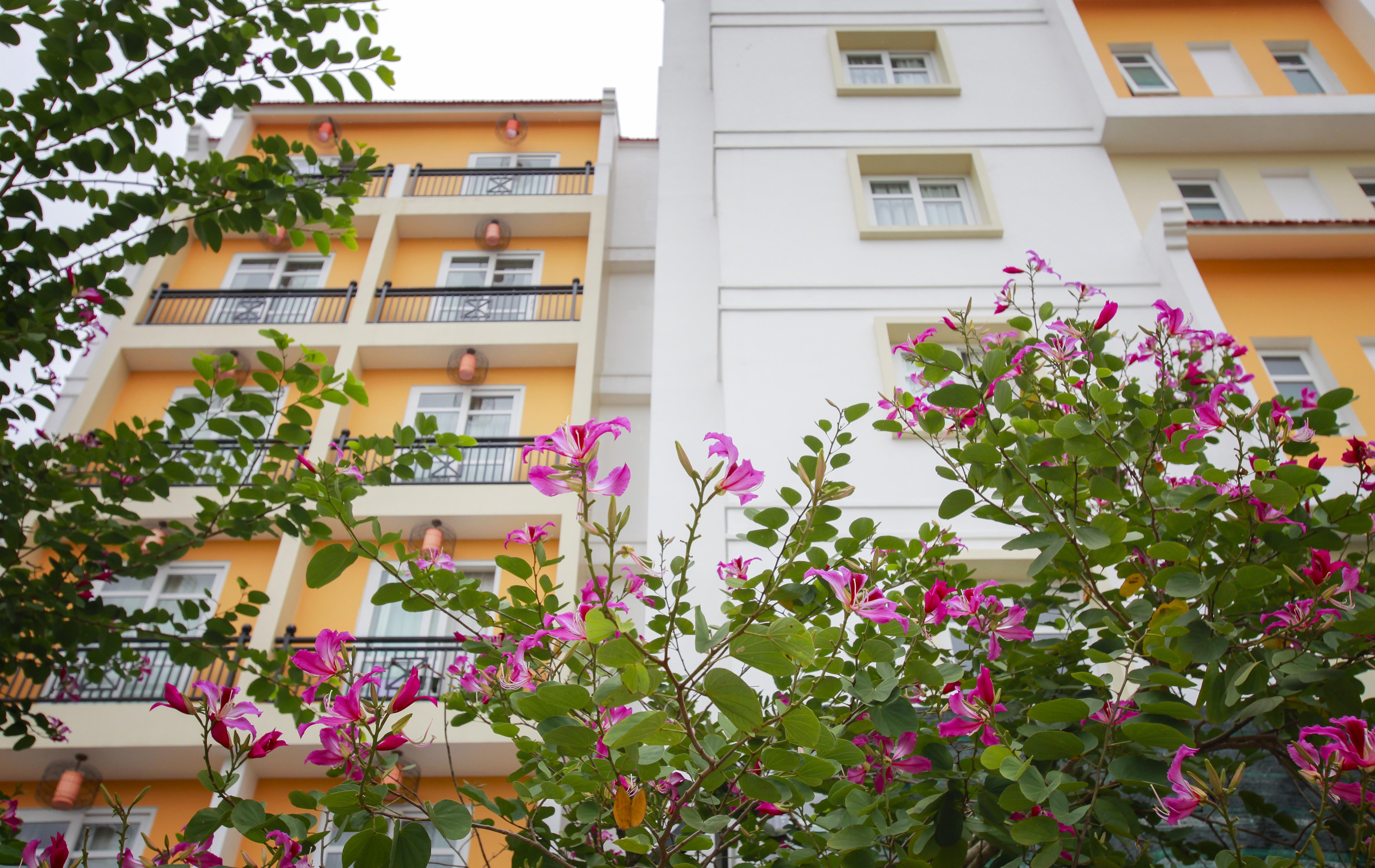 Royal Riverside Hoi An Hotel & Spa Экстерьер фото